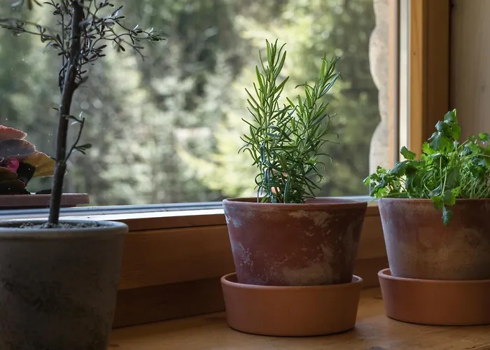 Góralska Domek alpejski *