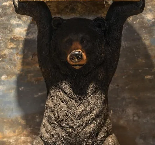 Góralska * Nowy Targ